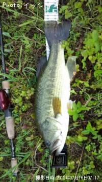 �֥�å��Х�