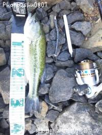 �֥�å��Х�