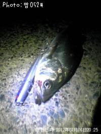 �����Х�