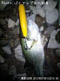 �֥�å��Х�