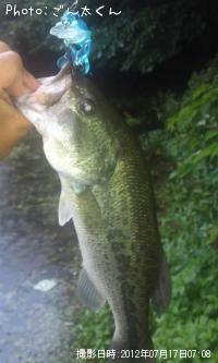 �֥�å��Х�