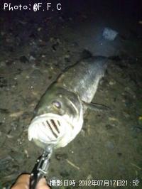 �����Х�