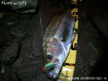 �����Х�