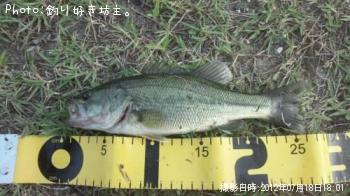 �֥�å��Х�