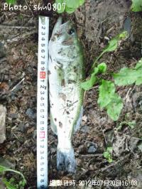 �֥�å��Х�