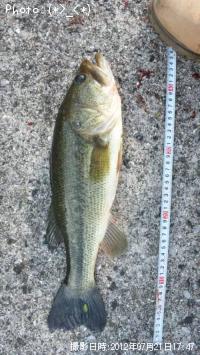 ¥Ö¥é¥Ã¥¯¥Ð¥¹