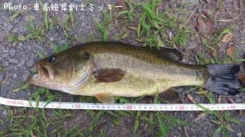 ¥Ö¥é¥Ã¥¯¥Ð¥¹