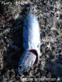 ¥½¥¦¥À¥«¥Ä¥ª