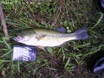 ¥Ö¥é¥Ã¥¯¥Ð¥¹