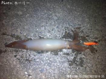 ����ᥤ��