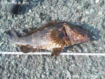 �����Υ���Х�