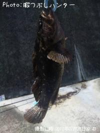 �٥å�������