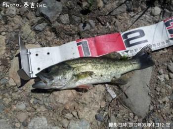 �֥�å��Х�