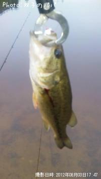 ¥Ö¥é¥Ã¥¯¥Ð¥¹