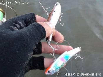 �ң��Σǣš��֣ɣ¡�����