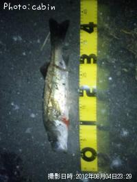 �����Х�