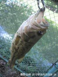 �֥�å��Х�