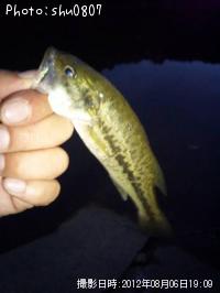 �֥�å��Х�