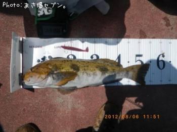 �����ʥ�