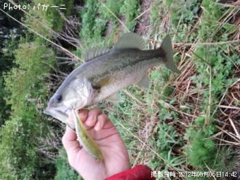 �֥�å��Х�