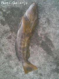 �����ʥ�