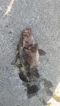 �٥å�������