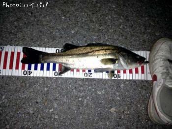 �����Х�