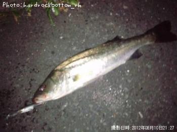 �����Х�