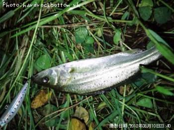 �����Х�