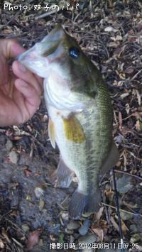 ¥Ö¥é¥Ã¥¯¥Ð¥¹