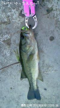 ¥Ö¥é¥Ã¥¯¥Ð¥¹