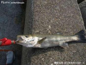 �����Х�