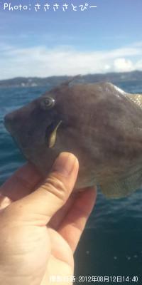 ������������ϥ�