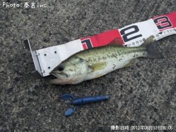 ¥Ö¥é¥Ã¥¯¥Ð¥¹