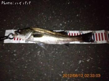 �����Х�