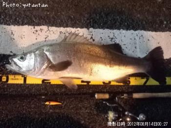 �ҥ饹����