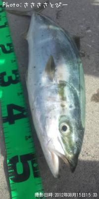 ¥¤¥Ê¥À¡õ¥½¥¦¥À¡õ¥µ¥Ð