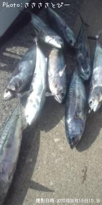 ¥¤¥Ê¥À¡õ¥½¥¦¥À¡õ¥µ¥Ð