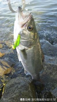 �����Х�