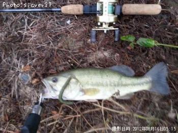 ¥Ö¥é¥Ã¥¯¥Ð¥¹