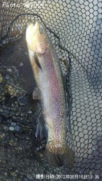 ���å��ȥ饦��