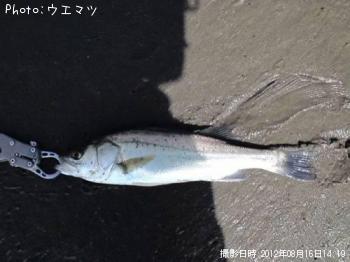 �����Х�