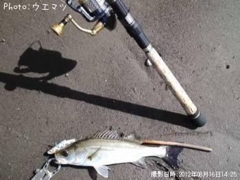 �����Х�