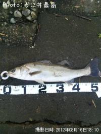 �����Х�