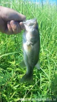 �֥�å��Х�