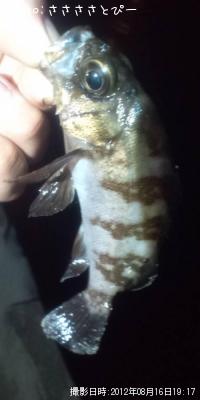 ��Х�������Х�