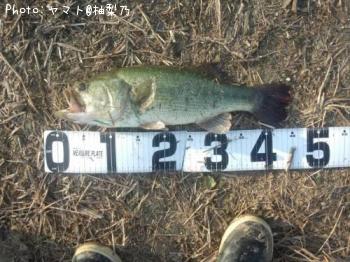 �֥�å��Х�