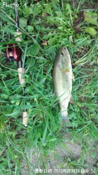 ¥Ö¥é¥Ã¥¯¥Ð¥¹