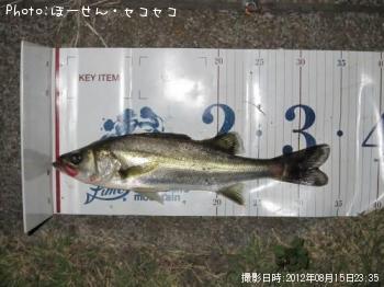 �����Х�