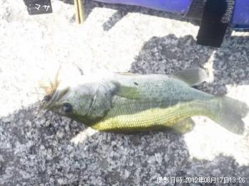 �֥�å��Х�